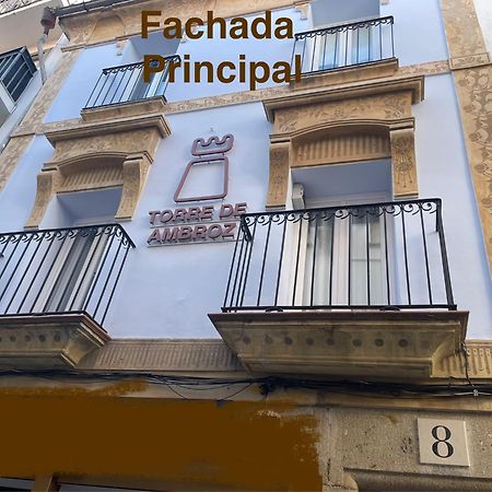 Torre De Ambroz Apartment Пласенсия Екстериор снимка